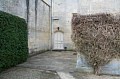 Rear Courtyard 1